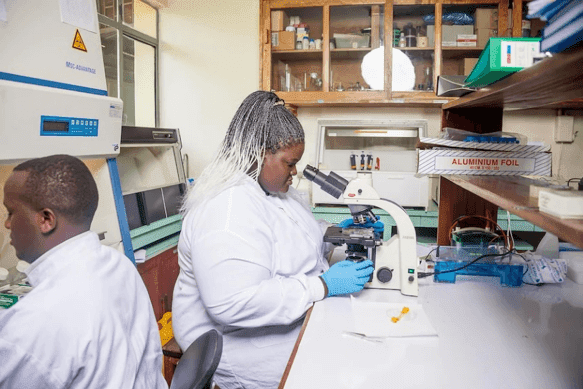 Malaria is an African problem and Africa must find the solution